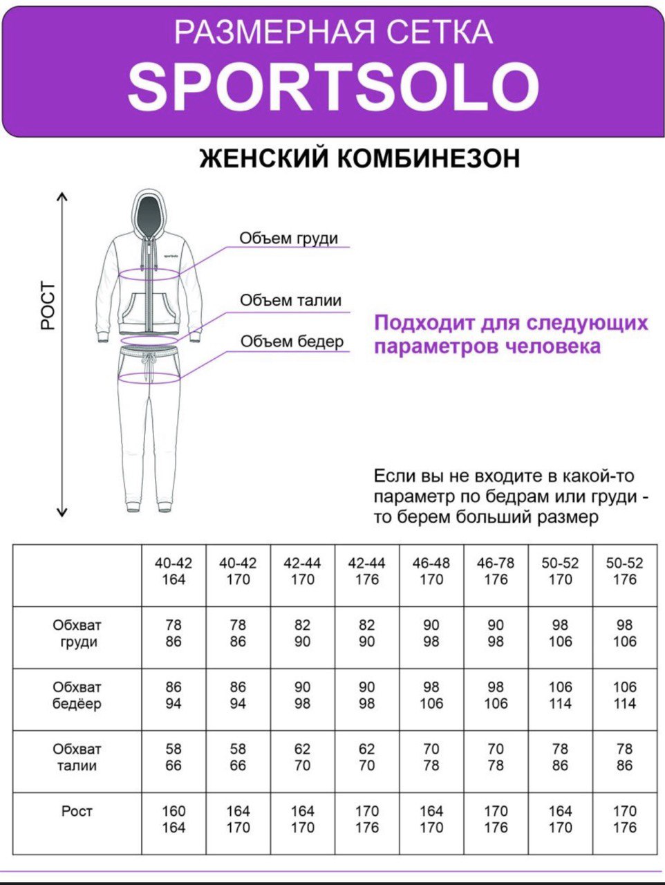 картинка Спортивный костюм Россия от магазина Спортсоло